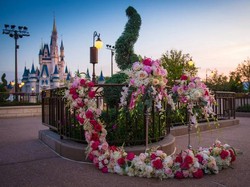 Disney Tertarik Bikin Studio Film di Indonesia