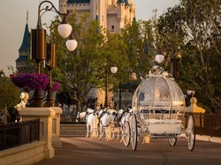 Siapkan Uang Rp 1 M Jika Ingin Menikah Ala Cinderella di Disney World Resort