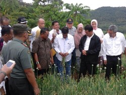 Mentan  Panen Bawang  di Lahan Baru Saat Libur