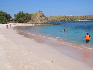 Terpesona Cantiknya Pink Beach di Pulau Komodo