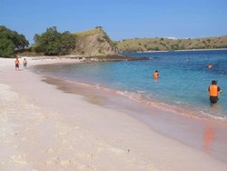 Terpesona Cantiknya Pink Beach di Pulau Komodo