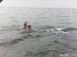 Menikmati Munculnya Hiu Tutul di Pantai Bentar