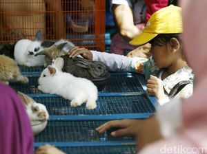 Hewan Peliharaan Bisa Bantu Pasien Gangguan Mental Belajar Hidup Normal