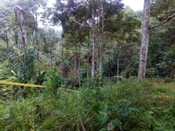 Bocah Terdakwa Pemerkosaan Gadis di Bengkulu Direhabilitasi Setahun