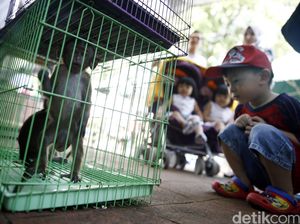 Mengunjungi Pameran Florina 2016