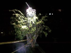 Polisi Selidiki Tewasnya Mark Lewis yang Jatuh dari lantai 15 Apartemen Pondok Indah