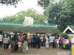 Saat Kebun Binatang Ragunan Jadi Pilihan Masyarakat Berpesta di Long Weekend