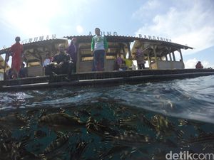 Ramai! Ribuan Turis padati Wisata Bahari Bunder Banyuwangi