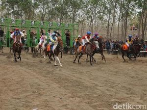 Lahan Bekas Tambang di Kabupaten Pasuruan Disulap Jadi Gelanggang Pacuan Kuda
