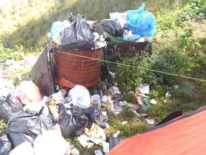 Untuk para Pendaki, Ikuti Cara Kucing Saat Buang Kotoran Agar Gunung Tetap Indah