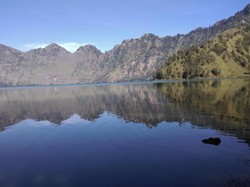 Wahai Pendaki, Jangan Kotori Rinjani Agar Ragam Flora dan Fauna Tetap Terjaga