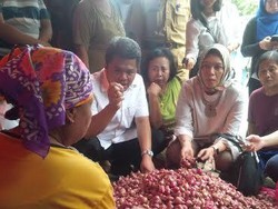 Harga Bawang Merah Naik, KPPU: Pemerintah Tak Perlu Impor