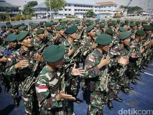 Selain Bantu Beli Gabah Petani, Ini yang Dilakukan TNI di Sawah