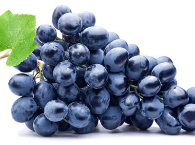 Kurma hingga Anggur, Ini 10 Makanan Favorit Rasulullah