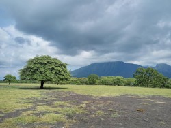 Jelajah Afrika Kecil di Tanah Jawa