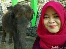 Selfie dan Keakraban Dokter Via dengan Gajah yang Berujung Maut