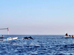 6 Pantai di Buleleng untuk Liburan Akhir Pekan, Ada Private Beach