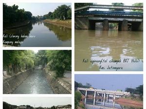 Nyata! Kali di Jakarta Juga Bisa Bersih dan Bening