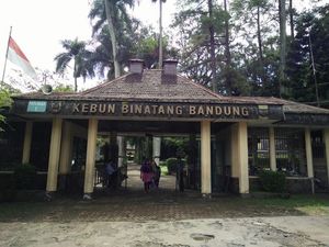 Gajah Yani Mati, Tim Dokter Periksa Kesehatan Satwa di Kebun Binatang Bandung Gajah Yani Mati, Tim Dokter Periksa Kesehatan Satwa di Kebun Binatang Bandung