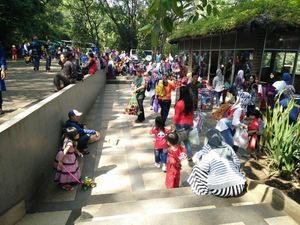 Kebun Binatang Bandung Ditutup Sementara, Pengunjung Setia Menunggu