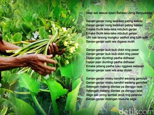 Lirik Lagu Genjer-genjer Beserta Sejarah dan Kaitannya dengan G30S/PKI