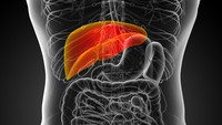 Kulit Gatal hingga Perut Begah, Ini 5 Tanda Tersembunyi Organ Liver Anda Bermasalah