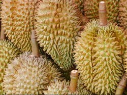 Kamus Oxford Menyerap Istilah Singapura dan Hong Kong