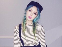 Begini Caranya Jika Ingin Jadi Video Blogger untuk Pemula