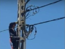 Video: Aksi Kucing Meniti Kawat Listrik Hindari Penyelamatan