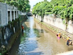 Menengok Sungai di Jati Padang Jaksel yang Bersih dari Sampah