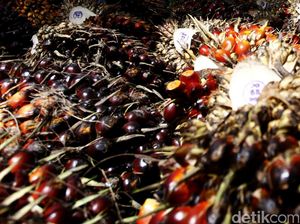Loper Koran Asal Pematang Siantar Ini Menjelma Jadi Pria Berharta Rp 40 T Loper Koran Asal Pematang Siantar Ini Menjelma Jadi Pria Berharta Rp 40 T