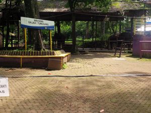 Pengelola Kebun Binatang Bandung Diberi Waktu 3 Bulan Perbaiki Sarana