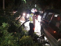 Pohon Tumbang di Bundaran Senayan, Lalin Arah Sudirman Terpantau Padat