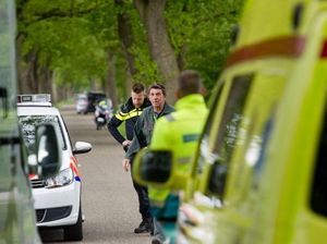 2 Harimau yang Lepas dari Penampungan di Den Haag Berhasil Ditangkap