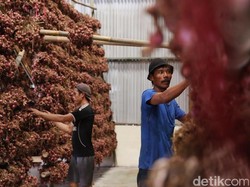 BUMN Impor Bawang Merah, Rini: Harga Sekarang Kemahalan