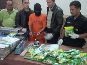 Produsen Benih Jagung Palsu Kembali Diamankan