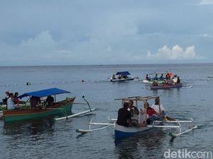 Wisatawan di Gorontalo Harus Ikut Menjaga Agar Hiu Paus Tak Stres