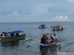 Wisatawan di Gorontalo Harus Ikut Menjaga Agar Hiu Paus Tak Stres