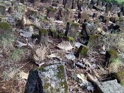 Batu Prasasti Ditemukan Berserakan di Sebuah Makam di Lamongan