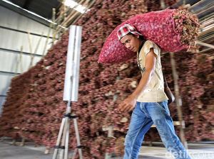 Curhatan Pedagang Bawang: Gimana Mau Murah, Saya Belinya Rp 36.000/Kg