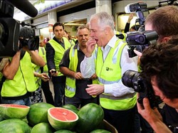 Politisi Australia Telah Lewati Pekan Pertama Kampanye Jelang Pemilu 2016