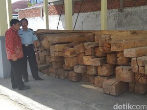 Di Bengkulu, Seribu Ikat Rotan Barang Sitaan Dibiarkan Lapuk