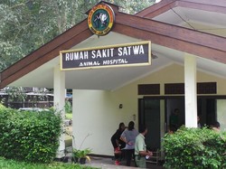Rumah Sakit Hewan Milik Taman Safari Prigen yang Bikin Penasaran