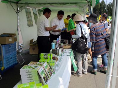 Menikmati Festival Teh di Shizuoka