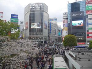 Main ke Shibuya di Tokyo, Coba 5 Hal seru Ini