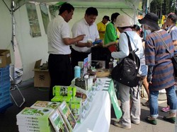 Asyiknya Festival Teh di Shizuoka