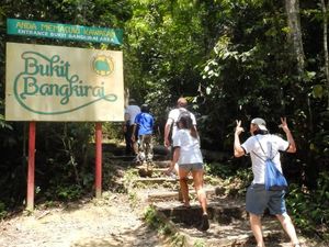 Inikah Calon Kebun Raya di Ibu Kota Baru? Inikah Calon Kebun Raya di Ibu Kota Baru?