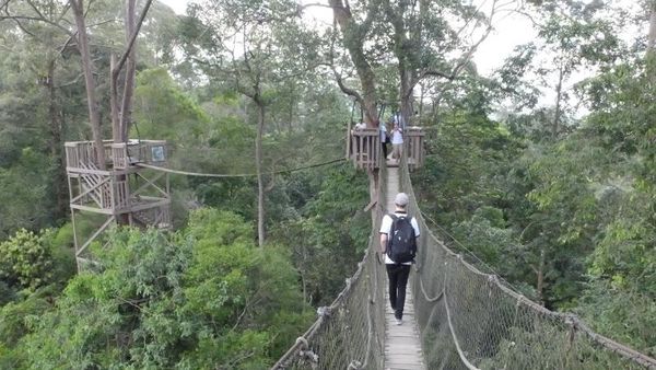 Potret Jembatan yang Menegangkan di Kutai Kartanegara