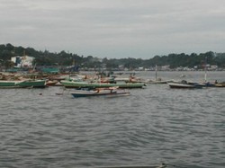 Nelayan di Papua Kesulitan Mendapatkan Ikan: Karena Hiu Sedang Musim Kawin