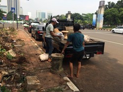 Ditertibkan Satpol PP dari Seputaran Senayan, Pedagang Terpaksa Obral Tanaman Hias